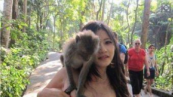 国产美女驯猴子视频