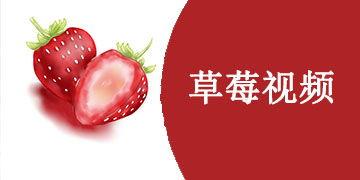 _草莓国产视频,探寻我国草莓产业的魅力与风采