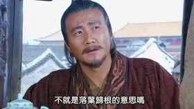 全集解说国产经典视频大全